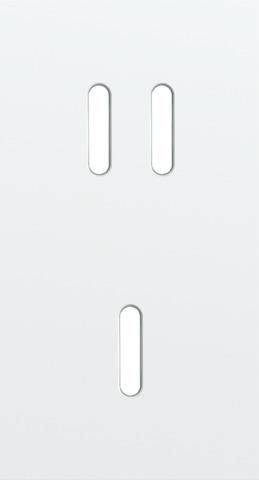 Double cover plate, vertical 71 mm centre distance, for a double and a single switching function, Ni