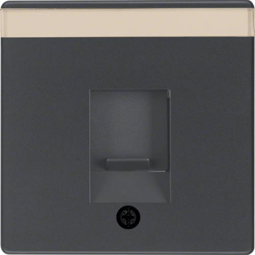 Centre plate dust protection slider, label field, Q.1 / Q.3, Anthracite velvety, lacquered