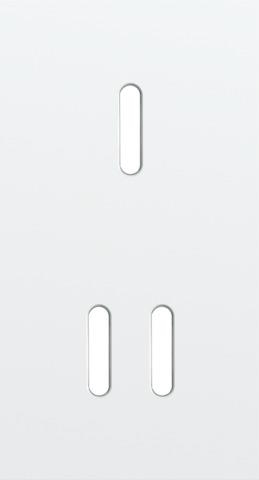 Double cover plate, vertical 71 mm centre distance, for single and double switching function, Niko R