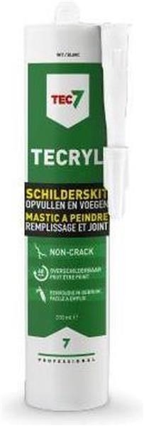 Tecryl professional paint putty