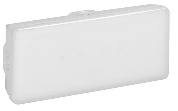 Emergency luminaire b65 - autotest / address maintained / non maintained - 100lm - 3h - Led