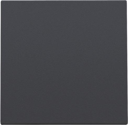 Blind plate, Anthracite