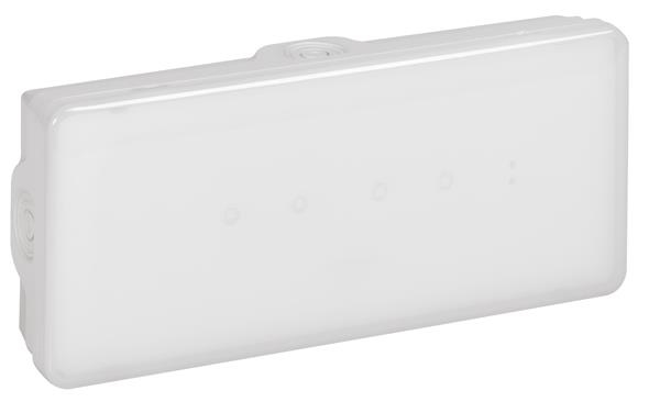 Emergency luminaire b65 - autotest / address maintained / non maintained - 200lm - 1h - Led