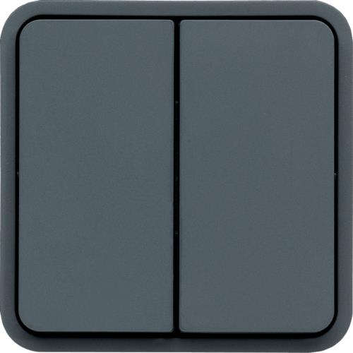 Cubyko button double assembly / NO IP55 Grey