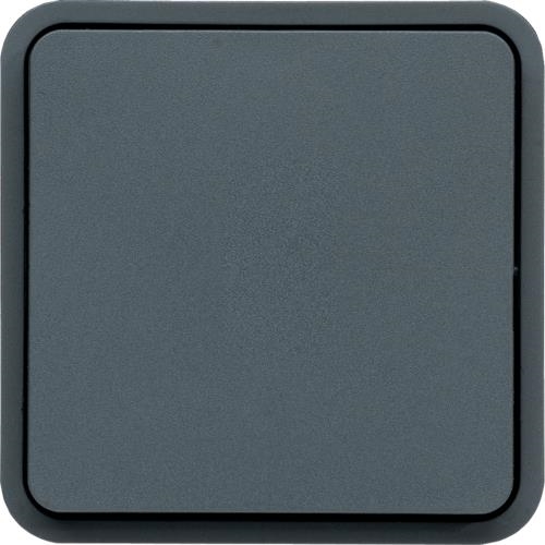 Cubyko button assembly / NO IP55 Grey