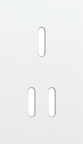 Double cover plate, vertical 60 mm centre distance, for single and double switching function, Niko R