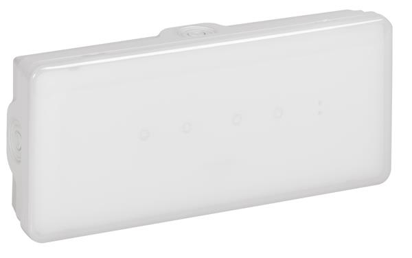 Emergency luminaire b65 - autotest / address maintained / non maintained - 350lm - 1h - Led