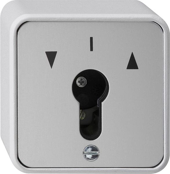 Key button 1-pole WP surface-mounted Grey